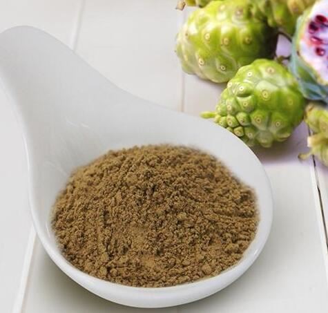 Noni Powder-1