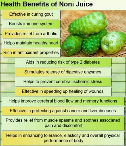 Noni Fruit Powder Benefits