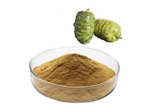 Noni juice extract