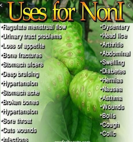 Noni Juice Powder benefits