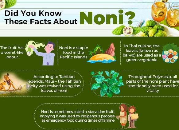 hawaiian noni powder benefits