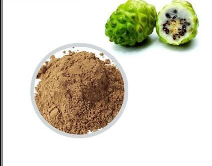 Morinda Citrifolia Extract