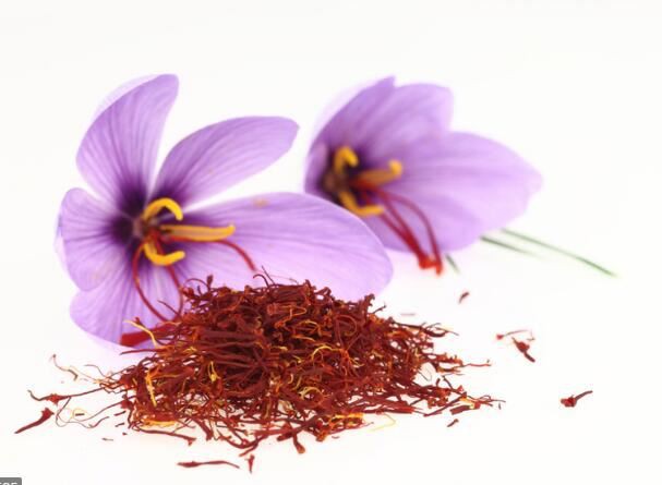 satieral saffron extract