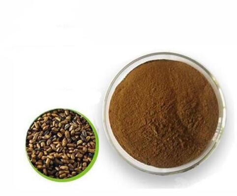 Cassia Angustifolia Seed Extract-1