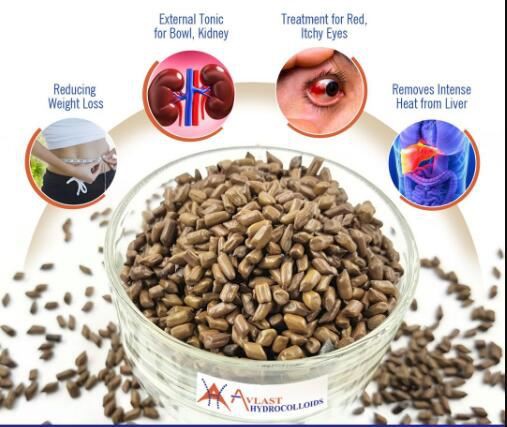 cassia angustifolia seed extract benefits