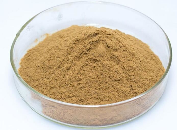 echinacea angustifolia powder