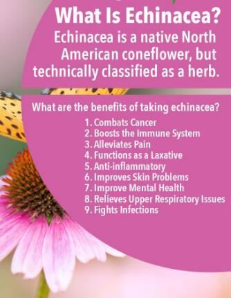 super echinacea extract benefits