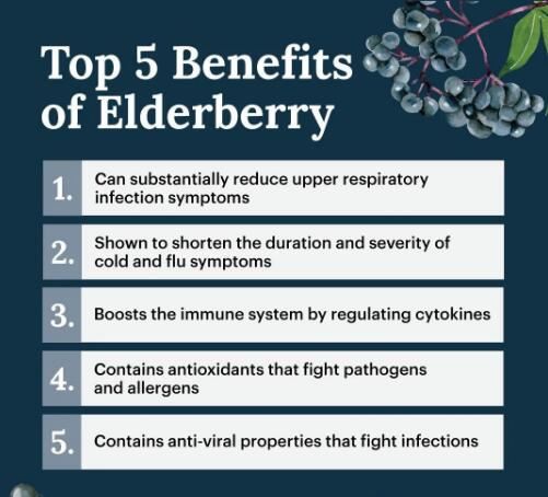 Elderberry benefits