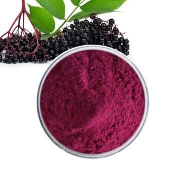 Elderberry Fruit Extract-1