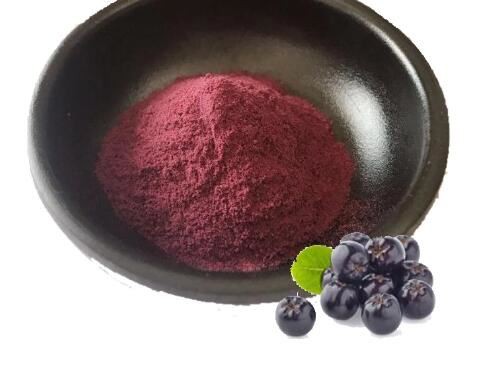 sambucol elderberry extract