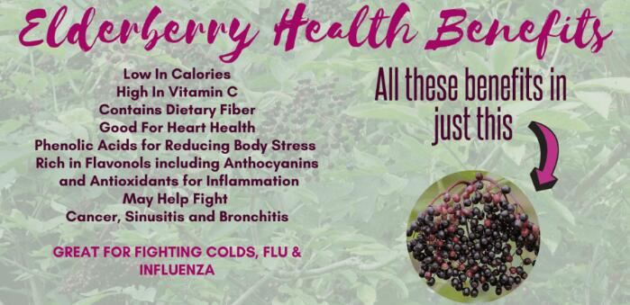 elderberry extract for flu benefits