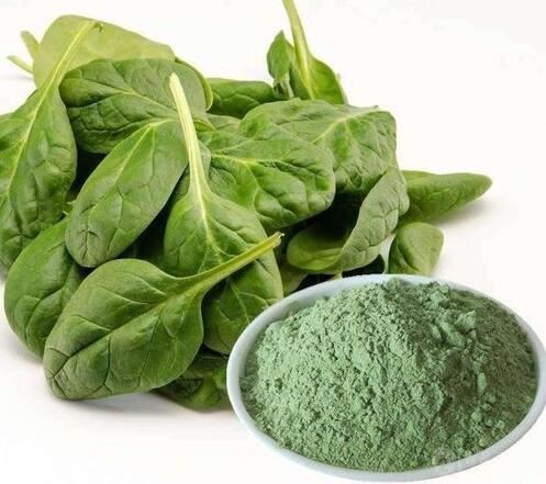 spinach leaf extract powder