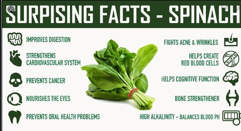 spinach leaf extract benefits