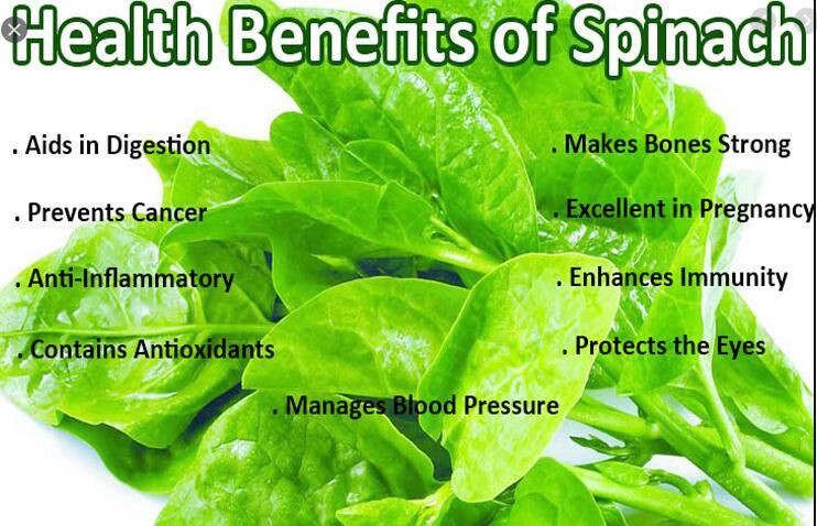 spinach powder organic benefits