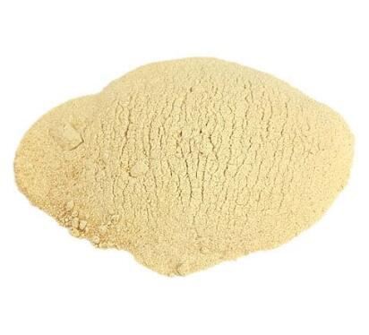 organic pumpkin seed powder