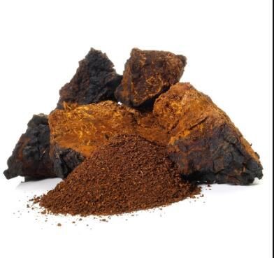 chaga mushroom extract powder