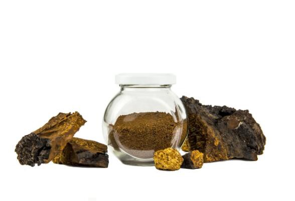 siberian chaga mushroom extract powder