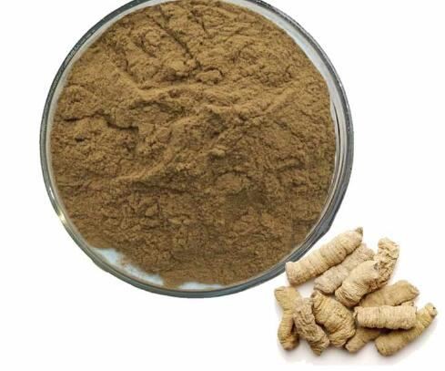 morinda officinalis extract