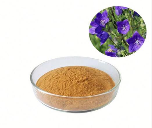 platycodon grandiflorum root extract