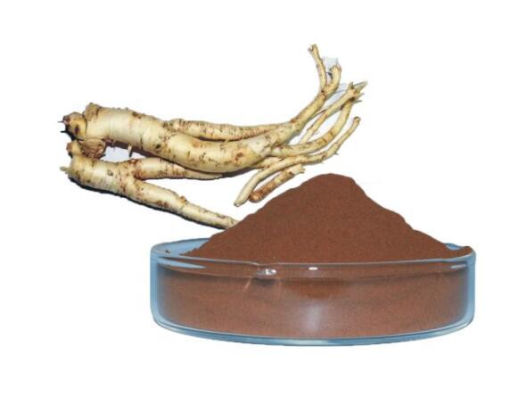 bellflower root extract