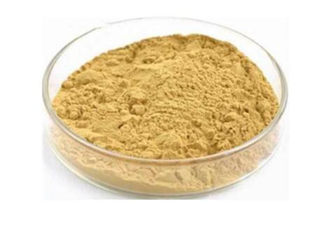 mangosteen extract powder