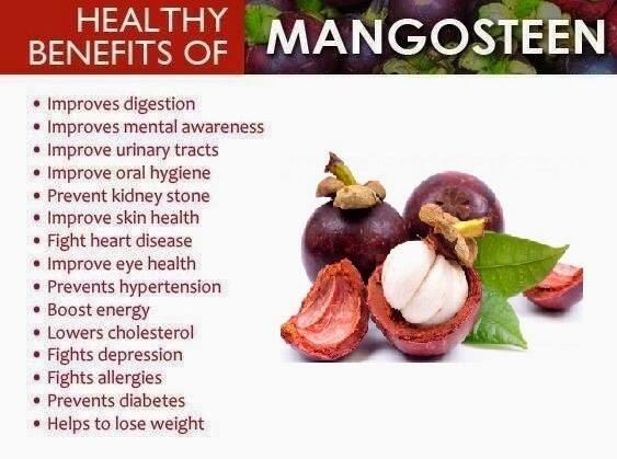 mangosteen powder benefits