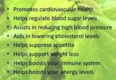 Mulberry Leaf benefits