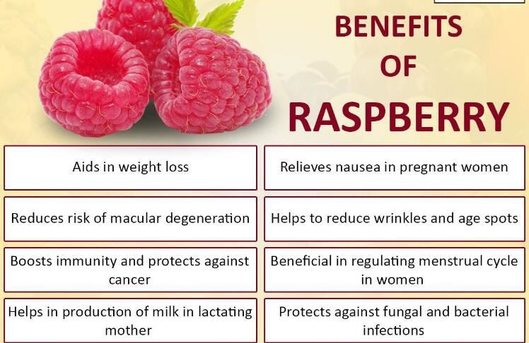 Raspberry benefits