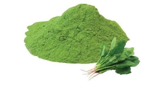 spinach juice powder