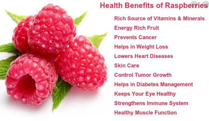 organic raspberry extract benefits