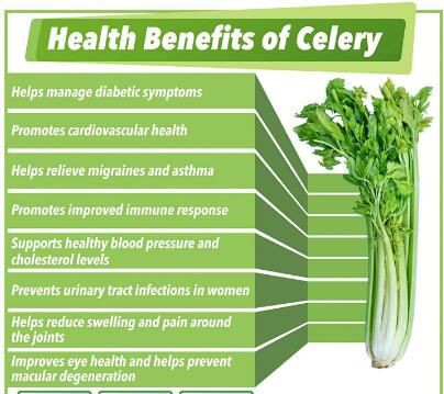 celery powder benefits