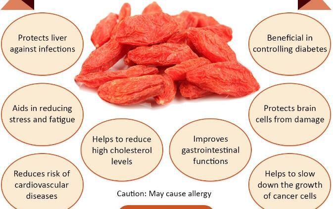 Goji Berry Benefits