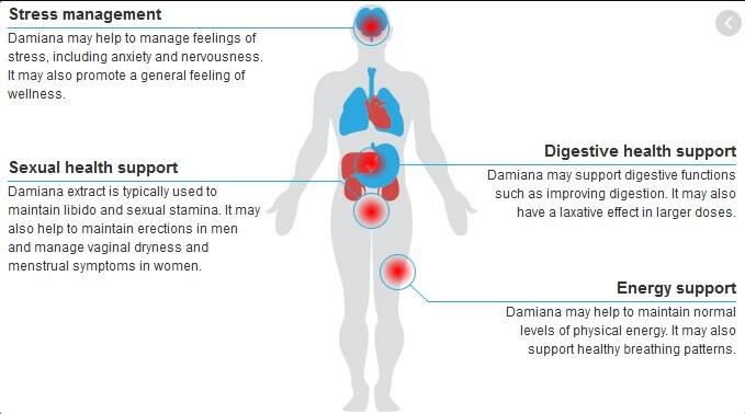 damiana leaf extract benefits