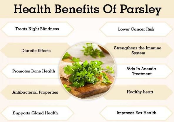 Parsley Powder benefits