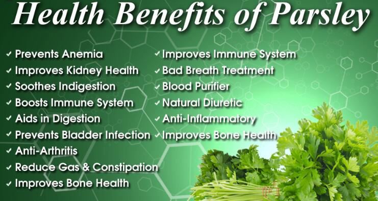 parsley leaf extract benefits