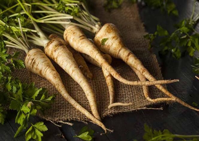 parsley root benefits