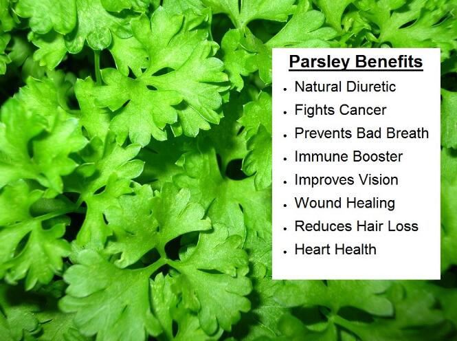 Parsley extract benefits