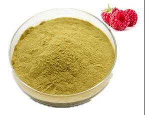 raspberry ketones extract