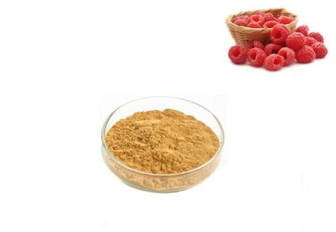 100 pure raspberry ketone powder