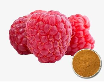 red raspberry seed extract