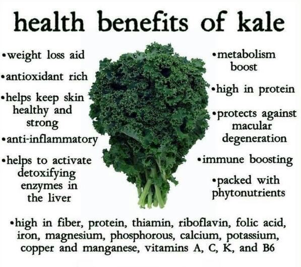 Kale benefits