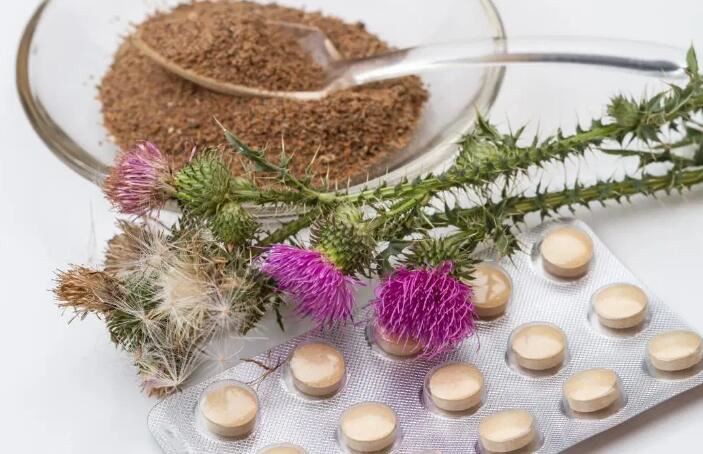 Milk Thistle Silymarin uses