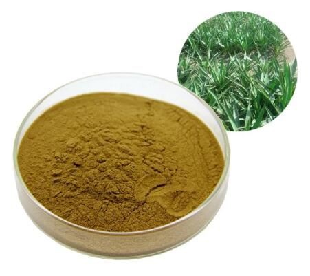 pure yucca powder