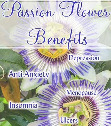 passion flower benefits