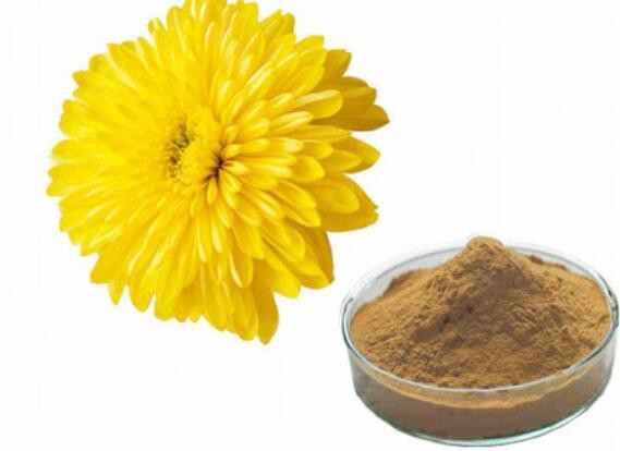 chrysanthemum flower extract