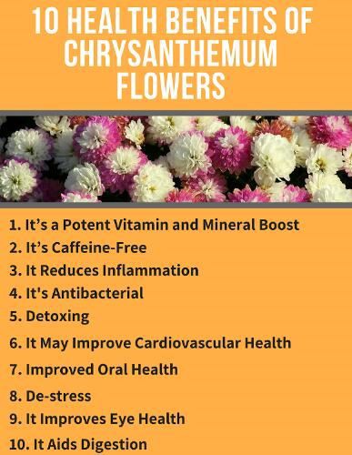 Chrysanthemum benefits