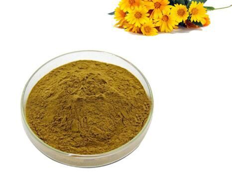 Chrysanthemum extract powder