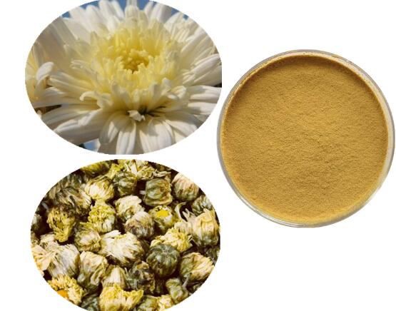 Chrysanthemum powder benefits