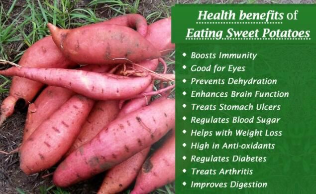 purple sweet potato benefits