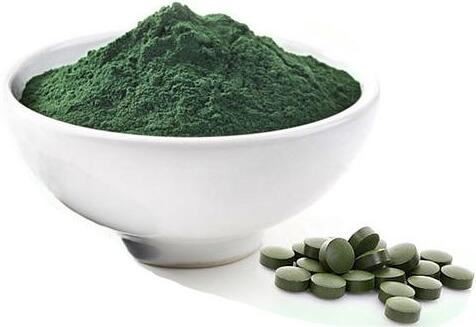 blue green algae powder organic